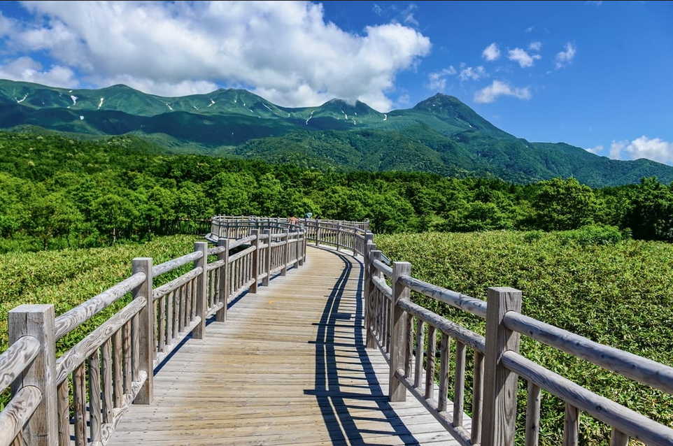 kunjungan-ke-taman-nasional-jepang-keindahan-alam-yang-menakjubkan